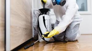 Best Real Estate Pest Inspections  in Firthcliffe, NY