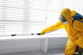 Best Indoor Pest Control  in Firthcliffe, NY